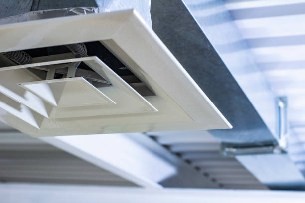Air Duct Mold Removal in Black Mountain, NC