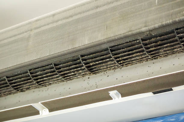 Best Air Duct Mold Removal  in Black Mountain, NC